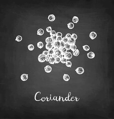 Canvas Print - coriander chalk sketch