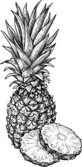 Wall Mural - pineapple ink sketch