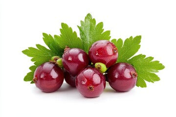 Wall Mural - Berry with leaves on a white background