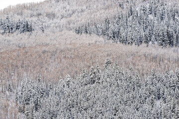 Wall Mural - Avon, Colorado in Eagle county, Vail and Beaver Creek with cliff mountain on cloudy day landscape covered in snow with pattern