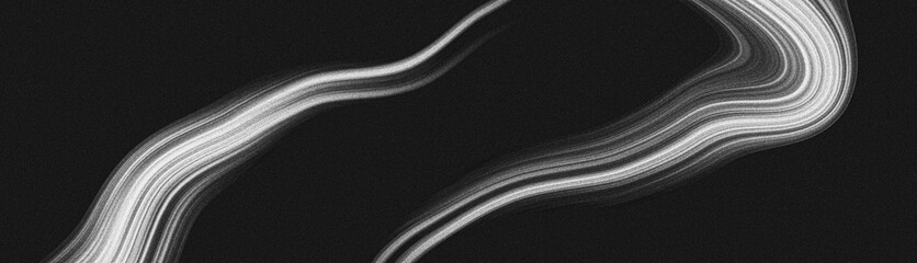 Wall Mural - abstract black grainy background, white fluid wavy lines, dark noise texture banner poster event inv