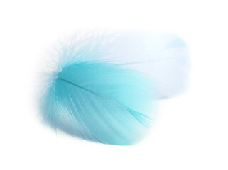 Wall Mural - Two fluffy light feathers isolated on white