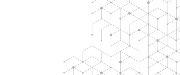 Wall Mural - vector abstract background the dots and lines geometric graphic hexagons pattern with simple hexagon