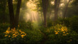 © TK - A serene forest scene with sunlight filtering through trees, illuminating a carpet of green and yellow flowers in a misty atmosphere