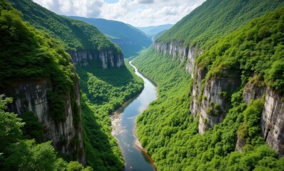 Wall Mural - Lush green canyon with flowing river