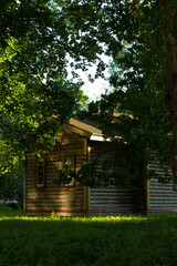 Wall Mural - Wooden church in a green forest