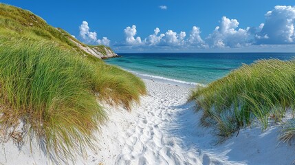 Wall Mural - Secluded beach path, turquoise water, sunny sky, coastal dunes. Summer vacation escape