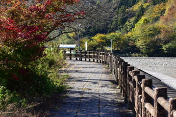 Wall Mural - 秋川沿いの風景