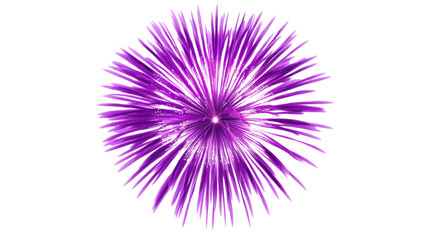 Purple firework exploding with transparent background