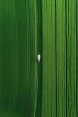 Poster - Elevated Aerial Imaging for Precision Agriculture Sustainable Crop Monitoring Using Drones Over Verdant Fields - Enhancing Data Analytics in AgriTech for Eco-Conscious Farming Solutions