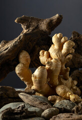 Poster - Ginger root with old snags and stones on a black background.