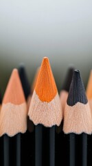 Leinwandbilder - Matte-Finish Pencil Collection Close-Up of Colored Tips on White Background - Modern Educational Supplies and Creative Classroom Solutions for Interactive Learning Environments