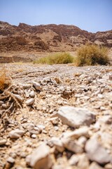 Poster - Arid desert landscape with rocky terrain and clear sky.