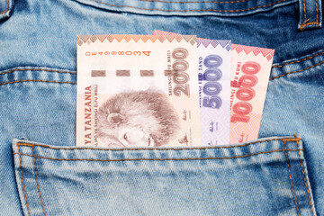 Wall Mural - Tanzanian shilling in the pocket of blue jeans