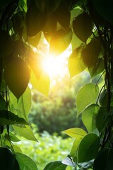 Wall Mural - Sun-Kissed Foliage Dreamy Bokeh Background, Lush Green Leaves, Warm Natural Light, Abstract Nature