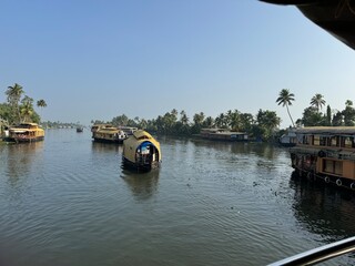 Kerala houseboat cruising amongst rice field