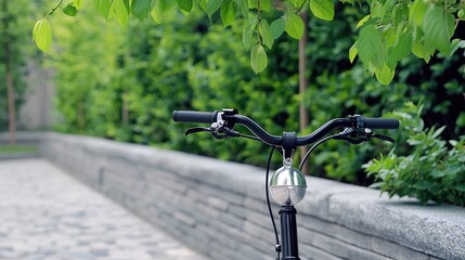 Wall Mural - Bicycle handlebars, park path, green foliage, leisure activity