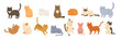© Sonium_art - Cute different domestic cat set. Vector flat pets poses collection. Cat breeds big bundle.