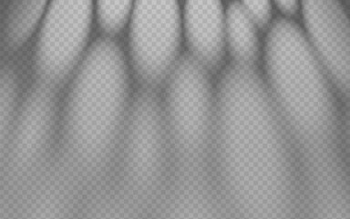 Wall Mural - abstract shadow overlay from foliage on a transparent background.