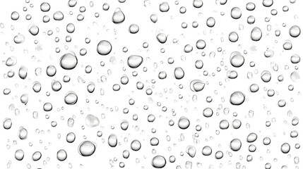 Fototapete - Macro view of detailed water droplets or dew on a smooth transparent surface with a minimalist and abstract white background  Natural liquid crystal texture and reflections