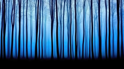 Poster - Misty forest nature idea. A serene forest landscape with tall, dark trees silhouetted against a blue mist.