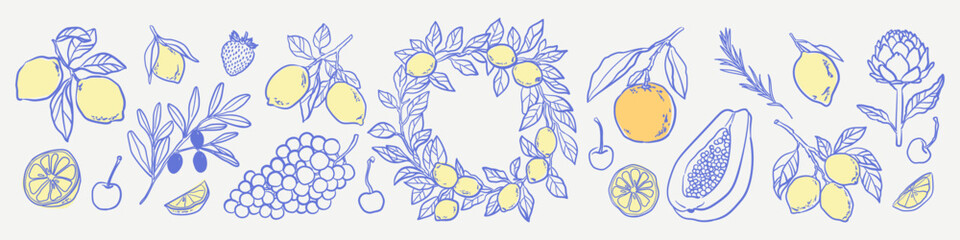 italian summer citrus harvest set. hand drawn illustrations with branches of lemons, orange, olive, 
