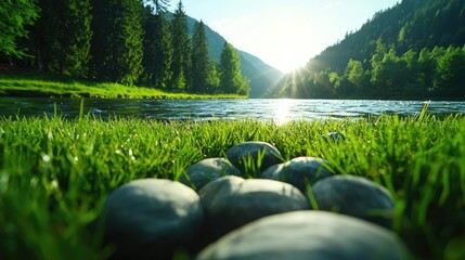 Poster - Riverside scenes nature concept. Serene riverside scene with stones and vibrant greenery, illuminated by sunlight.