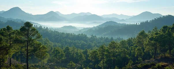 Poster - Mountains landscape nature idea. Stunning view of mountains and forests bathed in morning mist and soft sunlight.