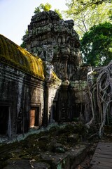 Wall Mural - Ancient temple ruins in Angkor Wat.