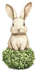 Wall Mural - PNG Topiaries in rabbit shape art illustration watercolor.