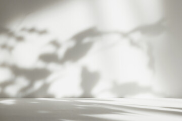 Fototapete - Abstract white color gradient studio background for product presentation. Empty room with shadows of window and flowers and plant leaves . 3d grey room with copy space. Blurred backdrop.