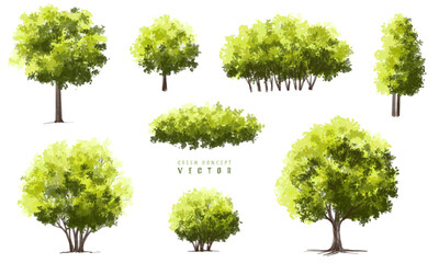 Wall Mural - vector watercolor green tree or forest side view isolated on white background for landscape and arch
