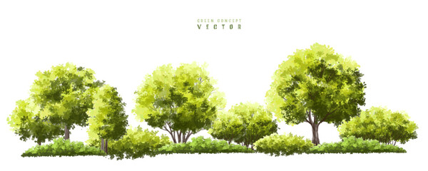 Wall Mural - vector watercolor green tree or forest side view isolated on white background for landscape and arch
