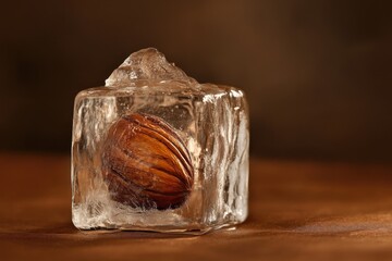 Wall Mural - Frozen Nut Encased In Ice Cube