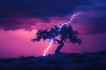 Wall Mural - A lone tree silhouetted against a vibrant purple sky, struck by a lightning bolt during a dramatic storm.