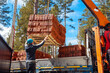 © Sergey - Workers unload bricks from a delivery truck using a crane in a construction area