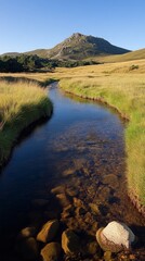 Wall Mural - A tranquil river flows gently through lush golden grasslands, reflecting the clear blue sky and surrounded by distant mountain peaks