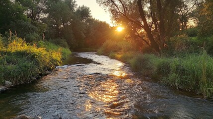 Wall Mural - A serene sunset over a tranquil river, with gentle waves reflecting the warm hues of the setting sun. Lush green foliage flanks both sides of the waterway, while golden light filters through the trees