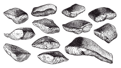 Wall Mural - Salmon Fillet Pieces Set Ink Pen Style Illustration White Background Fresh Seafood Gourmet Cooking Healthy Nutrition Meal Protein Food Culinary Ingredients Organic Freshwater Fish