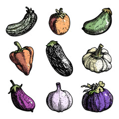 Wall Mural - Vegetables With Risograph Texture Collection Trendy Hand Drawn Style On White Background Unique Artwork Colorful Illustrations Creative Design Fresh Produce Graphic Art Decorative