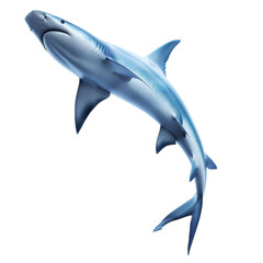 Wall Mural - majestic blue shark with sleek body and smooth fins showcasing ocean predatory elegance