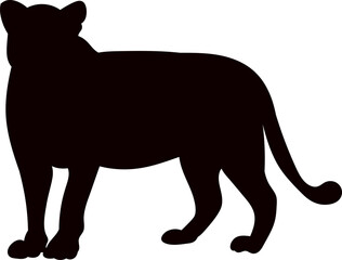 Wall Mural - lioness silhouette on white background vector