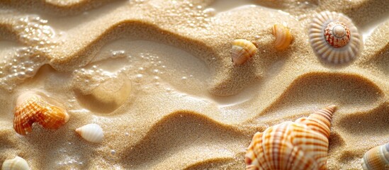 Wall Mural - Close-up of seashells on sandy beach with gentle waves creating patterns in sand and small bubbles visible Copy Space