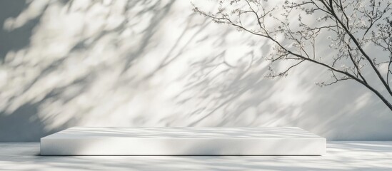 Poster - minimalist white platform with tree shadows on wall background, copy space