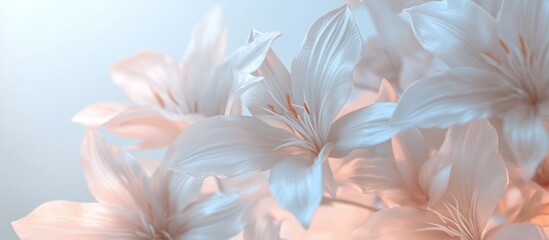 Wall Mural - Delicate soft focus close-up of light-colored flowers with pastel hues and natural lighting ideal for floral backgrounds and copy space