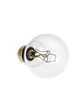 © Rachel - Close up shoot of a halogen bulb on a white isolated background
