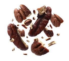 Wall Mural - Broken pecan nuts in air on white background