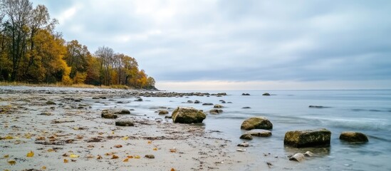 Canvas Print - Autumn landscape with rocky beach shoreline under cloudy sky and calm ocean water with scattered pebbles and distant tree line Copy Space