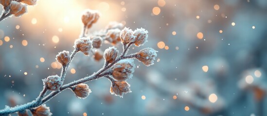 Sticker - Frosted flower buds on a branch with bokeh effect in a winter landscape and soft sunlight background Copy Space