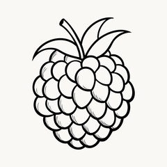Wall Mural - raspberry icon. minimalist line drawing of a ripe raspberry. vector illustration